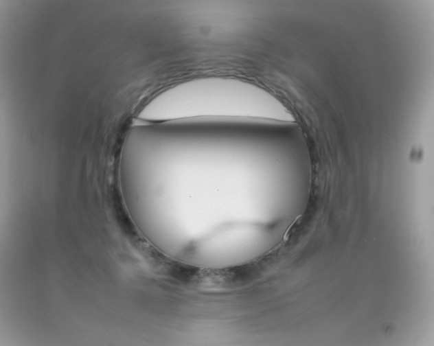 X0000092260368200709141031