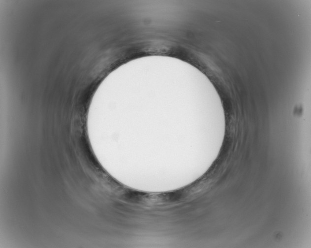 X0000092260370200709141031