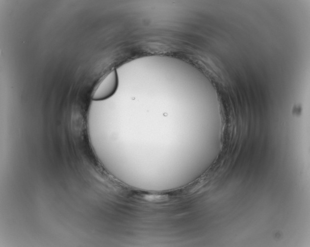 X0000092260371200709141031