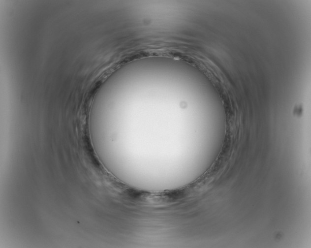 X0000092260372200709141031