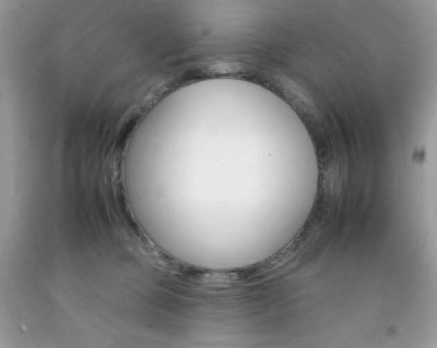 X0000092260373200709141031