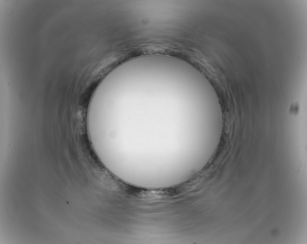 X0000092260378200709141031