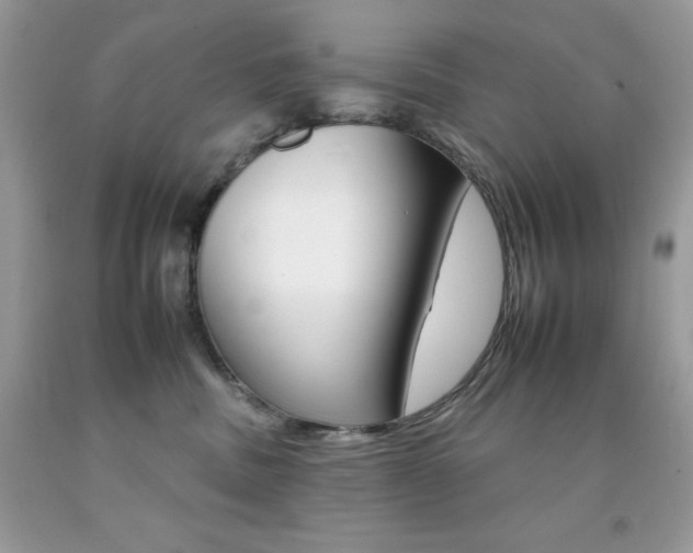 X0000092260379200709141031