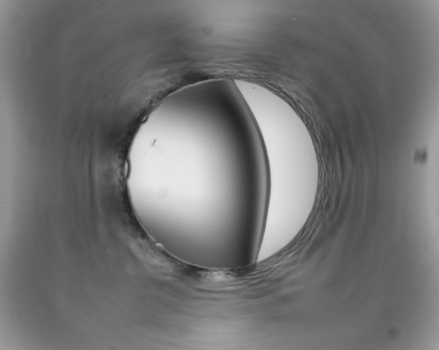 X0000092260380200709141031