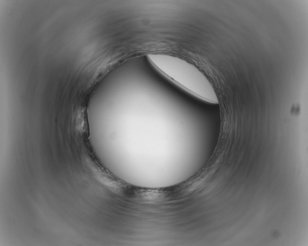X0000092260383200709141031