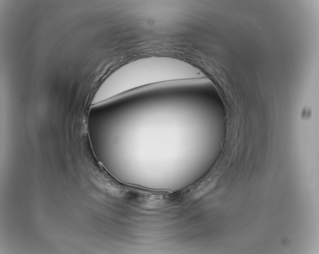 X0000092260384200709141031