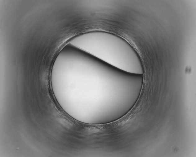 X0000092260386200709141030