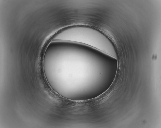 X0000092260388200709141030