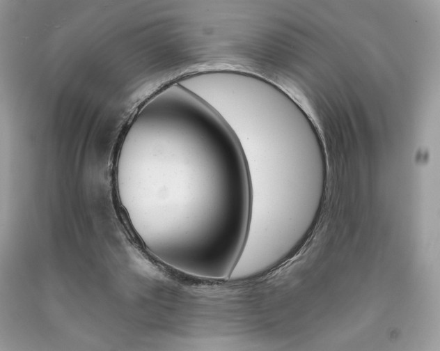 X0000092260389200709141030