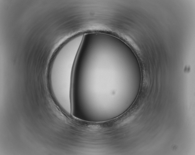 X0000092260391200709141030