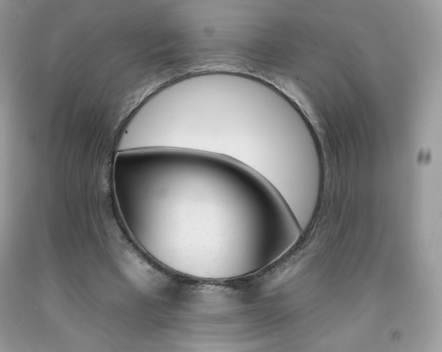 X0000092260393200709141030