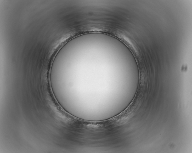 X0000092260394200709141030
