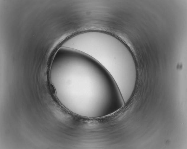 X0000092260395200709141030