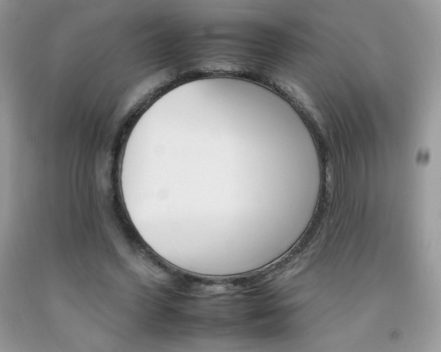 X0000092260396200709141030