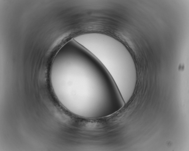 X0000092260400200709141030