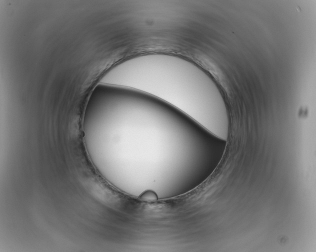 X0000092260401200709141030