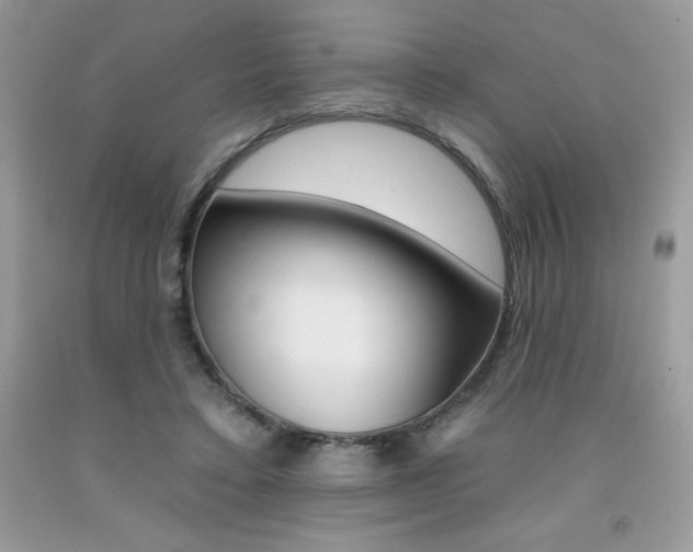 X0000092260403200709141030