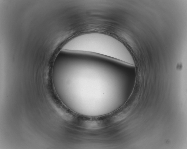 X0000092260404200709141030