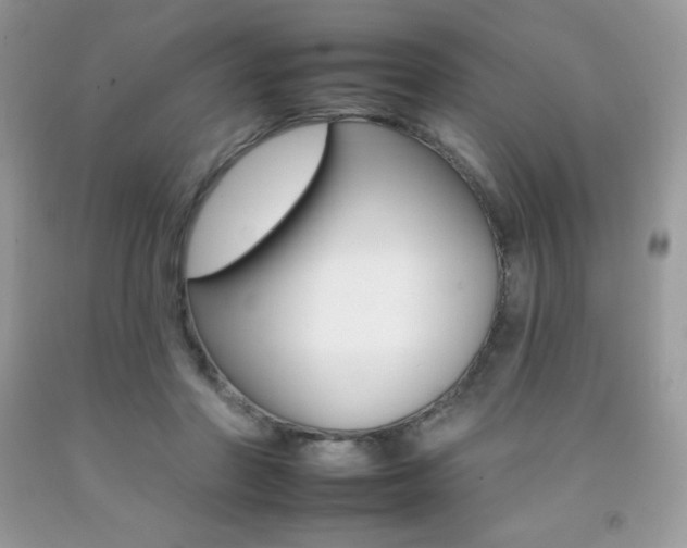 X0000092260406200709141030