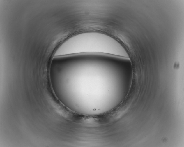 X0000092260407200709141030