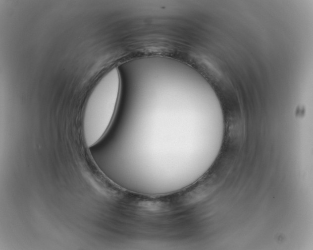 X0000092260408200709141030