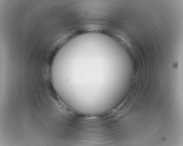 X0000092260411200709141030
