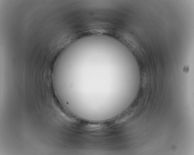 X0000092260414200709141030