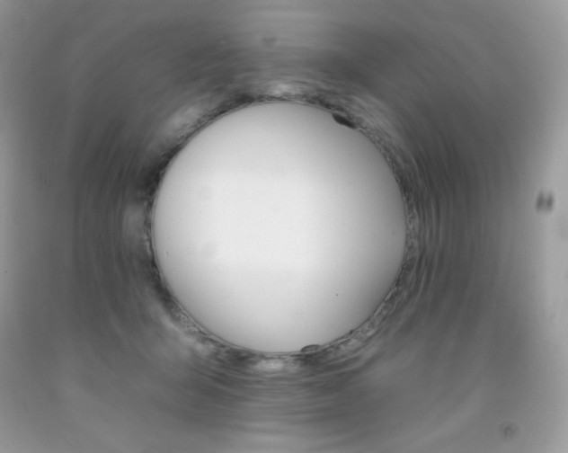 X0000092260415200709141030