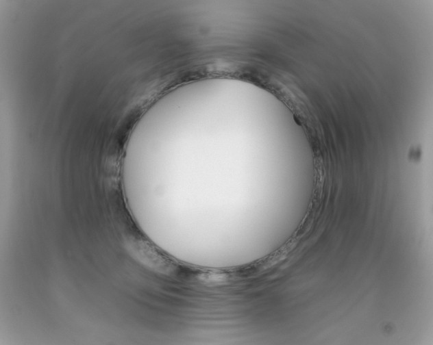 X0000092260419200709141030