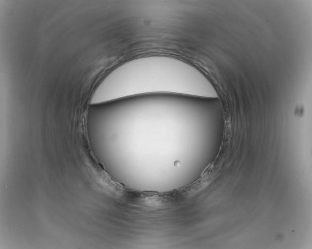 X0000092260423200709141030