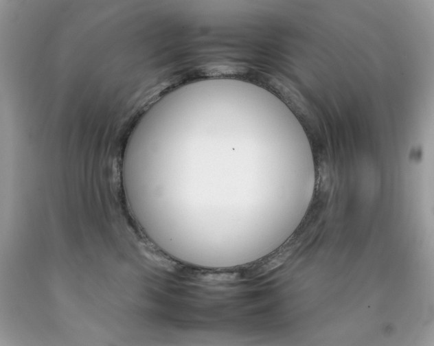 X0000092260426200709141030