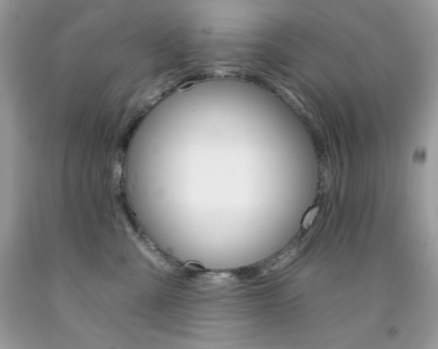X0000092260427200709141030