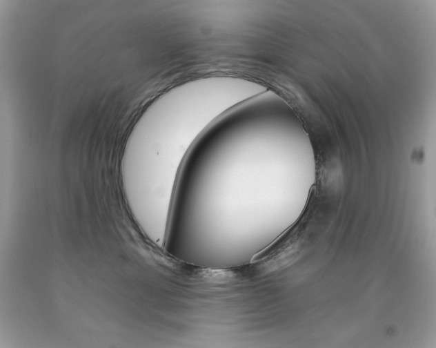 X0000092260429200709141030