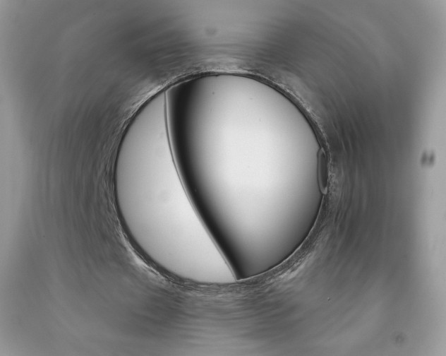 X0000092260433200709141029