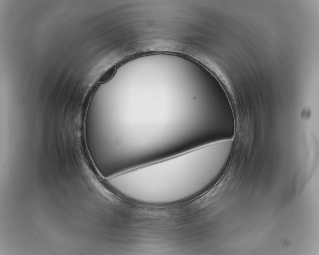 X0000092260437200709141029