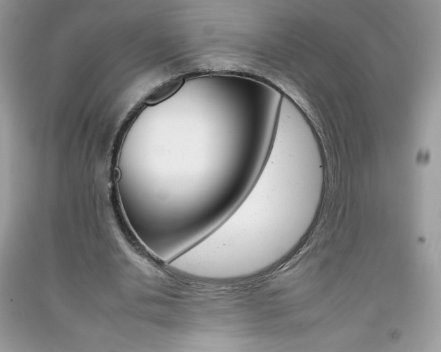 X0000092260438200709141029