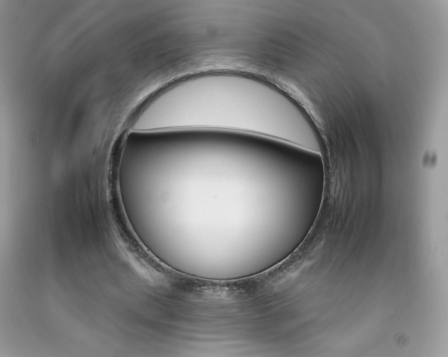 X0000092260439200709141029