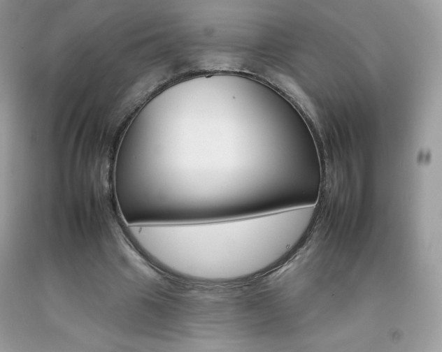 X0000092260441200709141029