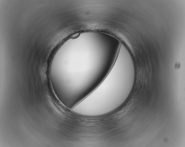 X0000092260443200709141029