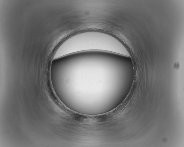 X0000092260444200709141029