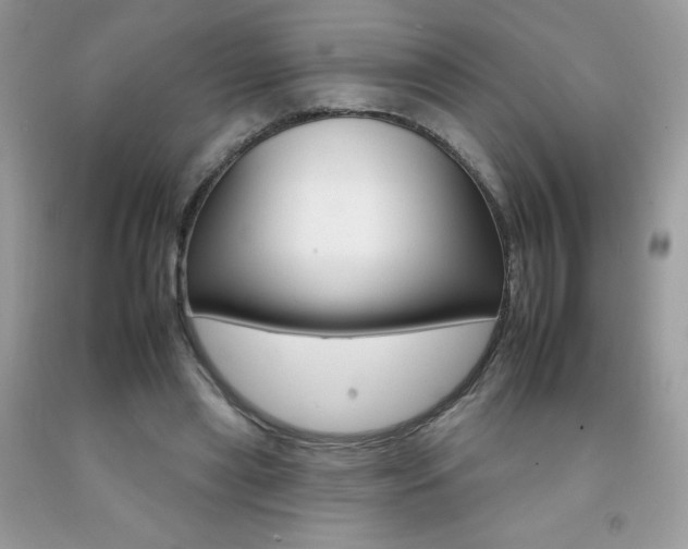 X0000092260445200709141029