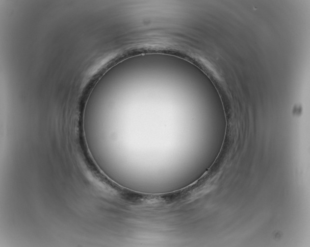X0000092260446200709141029