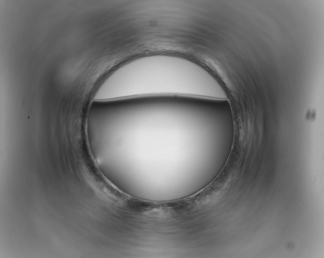X0000092260447200709141029