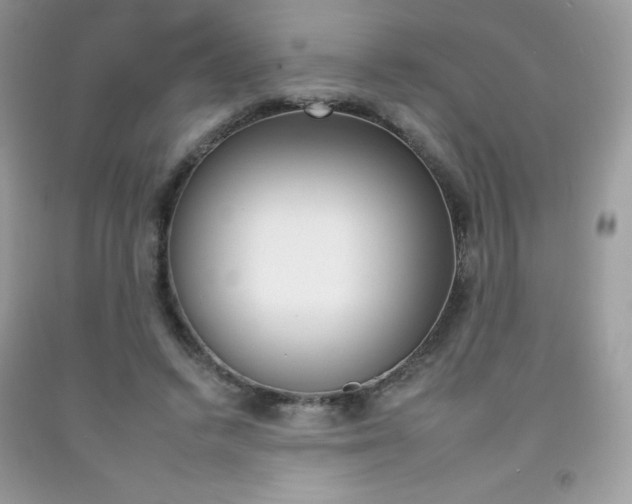 X0000092260448200709141029