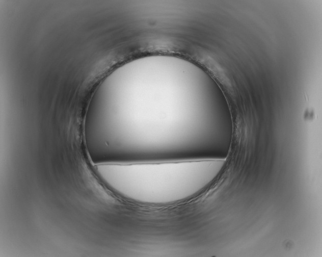 X0000092260449200709141029