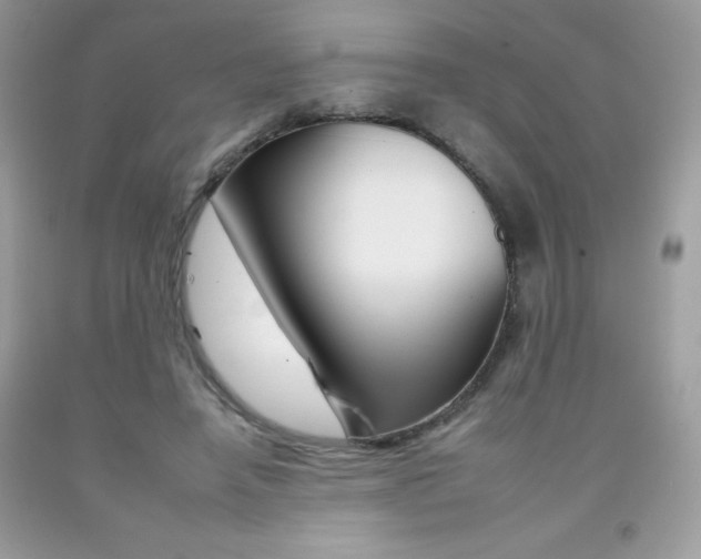 X0000092260450200709141029