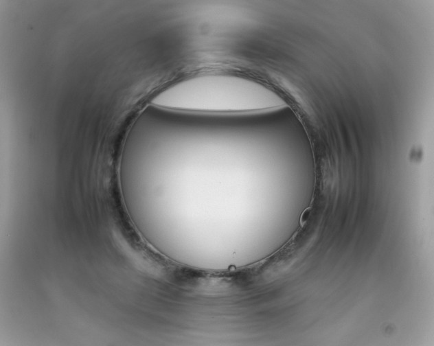 X0000092260451200709141029