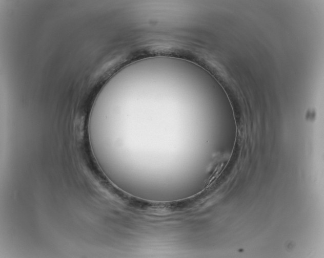 X0000092260454200709141029