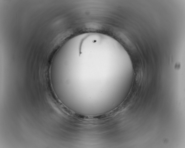 X0000092260455200709141029