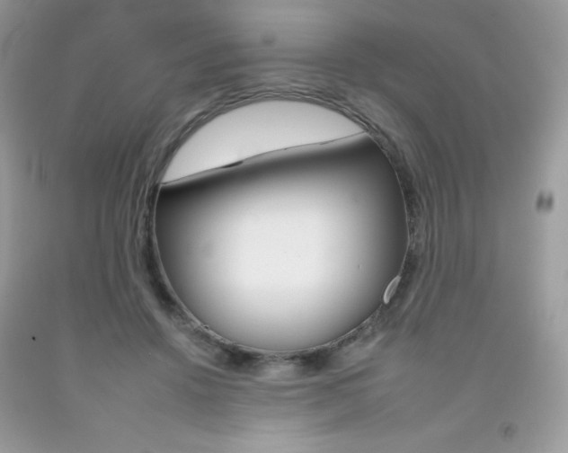 X0000092260456200709141029